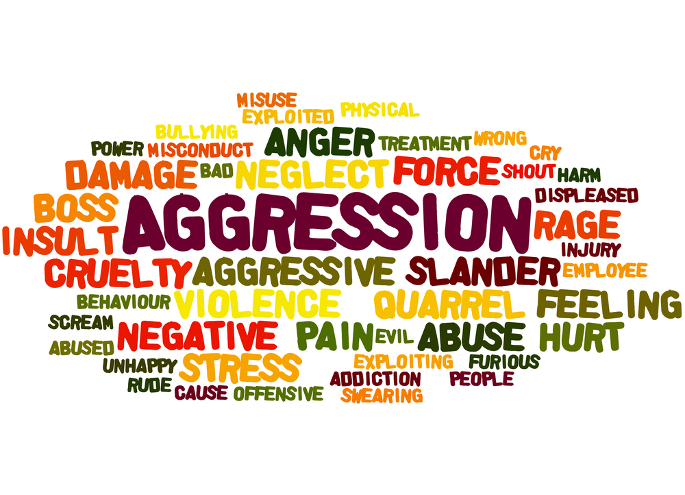 Aggravated Assault Workplace